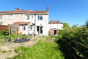 Garden- click for photo gallery